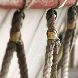 网页免费发手机号